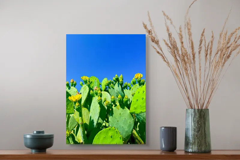 Tablou Canvas, "Flori de cactus sub cer senin", Cactuși, Flori, Cer, Albastru, Soare, Verde, Colți, Natură, Viu, Zvelt., 39 x 54 cm – poza 3