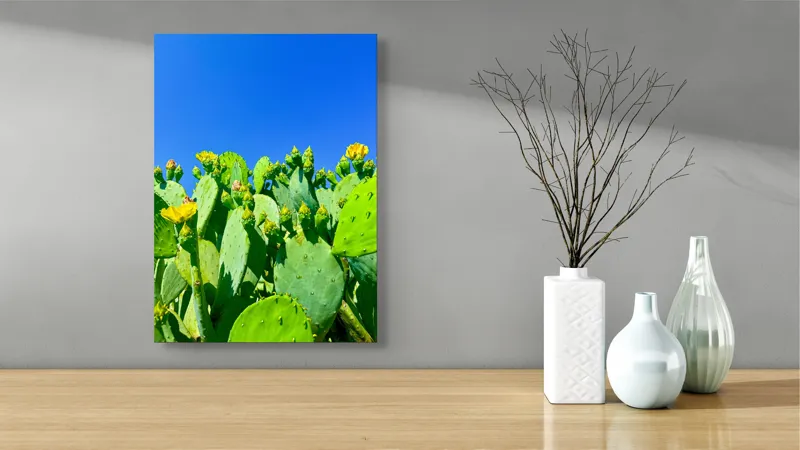 Tablou Canvas, "Flori de cactus sub cer senin", Cactuși, Flori, Cer, Albastru, Soare, Verde, Colți, Natură, Viu, Zvelt., 39 x 54 cm – poza 4