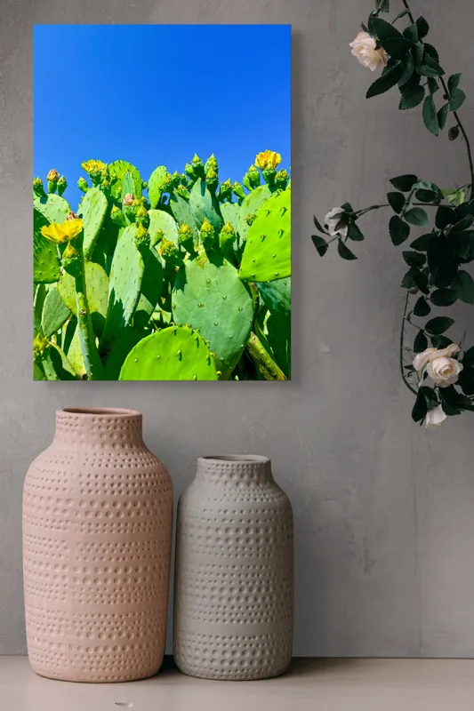Tablou Canvas, "Flori de cactus sub cer senin", Cactuși, Flori, Cer, Albastru, Soare, Verde, Colți, Natură, Viu, Zvelt., 39 x 54 cm – poza 6