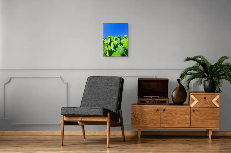 Tablou Canvas, "Flori de cactus sub cer senin", Cactuși, Flori, Cer, Albastru, Soare, Verde, Colți, Natură, Viu, Zvelt., 39 x 54 cm – poza 8