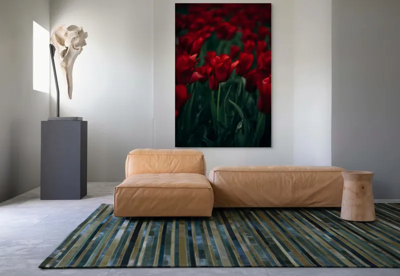 Tablou Canvas, "Marea câmpie de lalele roșii", Roșu, Grădină, Lalele, Natură, Abundență, Viață, Frumusețe, 100 x 150 cm – poza 7