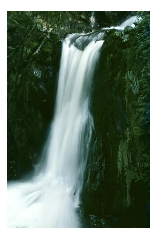 Tablou Canvas, "Cascada din inima pădurii verzi", Apă, Cascadă, Verdeață, Rocă, Natură, Frumusețe, Flux, Energie, Sălbăticie, 26 x 39 cm
