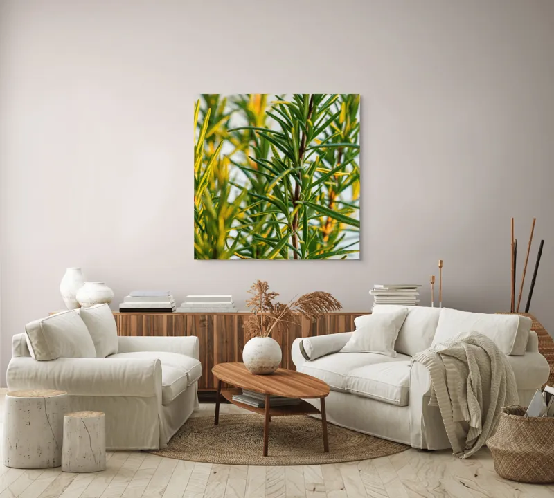 Tablou Canvas, "Verdele prospăt al rozmarinului viu", Verde, Frunze, Ramuri, Proaspăt, Aromatic, Luminos, Natural, Vertical, Delicat, 100 x 100 cm – poza 3