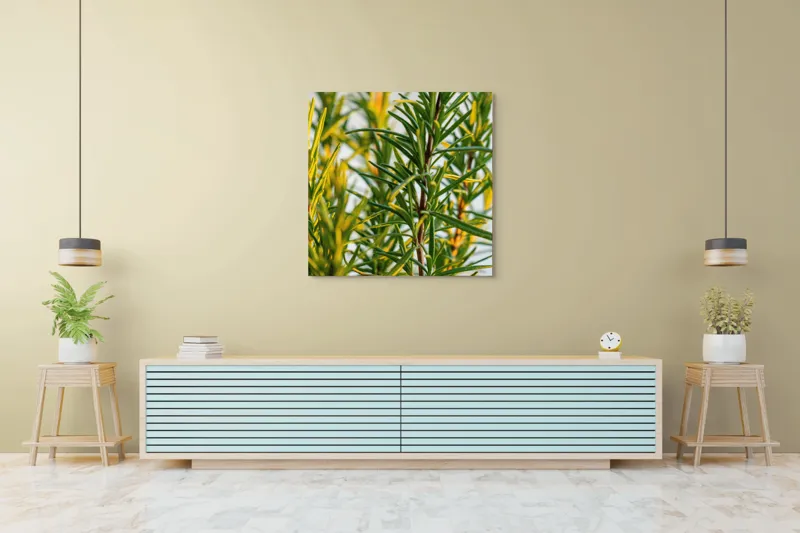 Tablou Canvas, "Verdele prospăt al rozmarinului viu", Verde, Frunze, Ramuri, Proaspăt, Aromatic, Luminos, Natural, Vertical, Delicat, 100 x 100 cm – poza 5