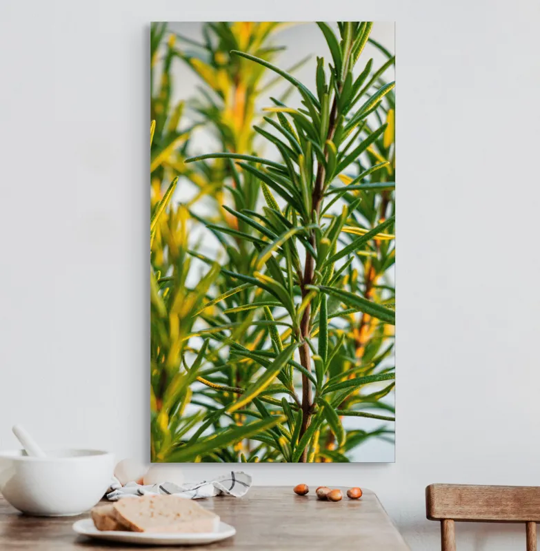 Tablou Canvas, "Verdele prospăt al rozmarinului viu", Verde, Frunze, Ramuri, Proaspăt, Aromatic, Luminos, Natural, Vertical, Delicat, 50 x 90 cm – poza 3