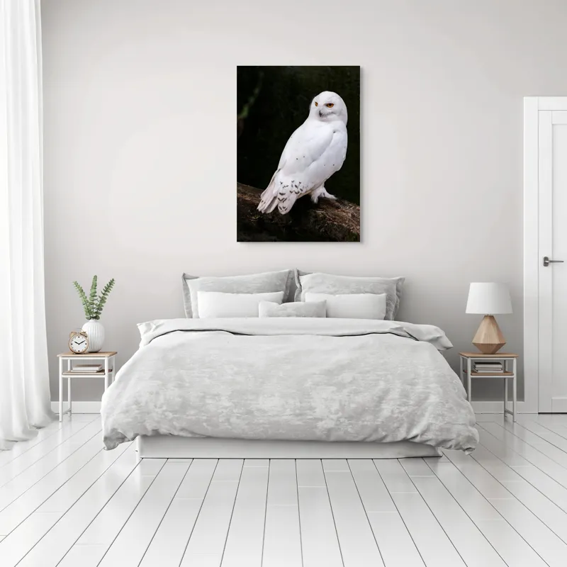 Tablou Canvas, "Bufnița albă în pădurea tăcută", Bufniță, Albă, Majestuoasă, Privire, Intesă, Rămurii, Detalii, Fascinantă, 70 x 100 cm – poza 3