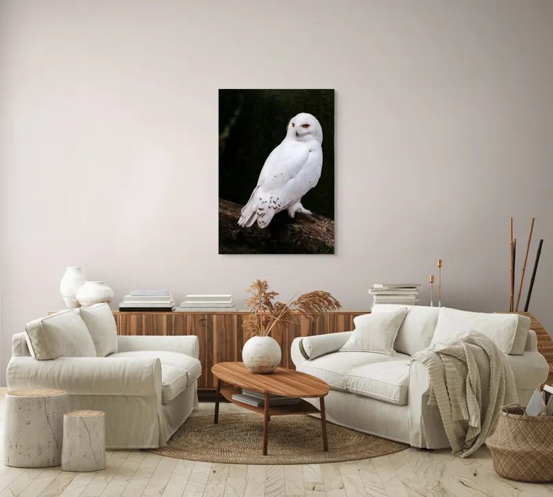 Tablou Canvas, "Bufnița albă în pădurea tăcută", Bufniță, Albă, Majestuoasă, Privire, Intesă, Rămurii, Detalii, Fascinantă, 70 x 100 cm – poza 4