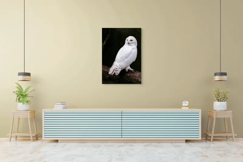 Tablou Canvas, "Bufnița albă în pădurea tăcută", Bufniță, Albă, Majestuoasă, Privire, Intesă, Rămurii, Detalii, Fascinantă, 70 x 100 cm – poza 5