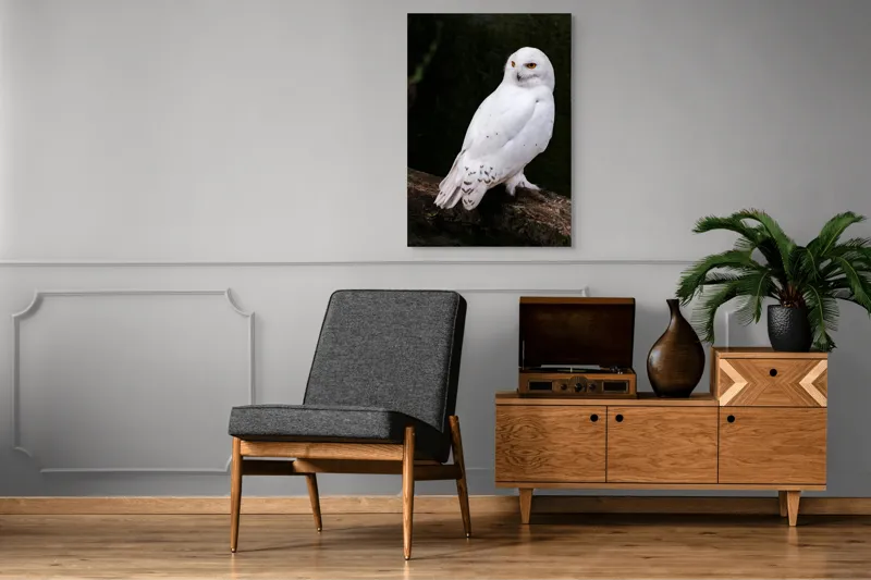 Tablou Canvas, "Bufnița albă în pădurea tăcută", Bufniță, Albă, Majestuoasă, Privire, Intesă, Rămurii, Detalii, Fascinantă, 70 x 100 cm – poza 6