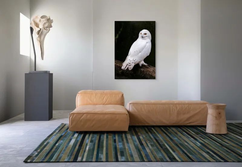 Tablou Canvas, "Bufnița albă în pădurea tăcută", Bufniță, Albă, Majestuoasă, Privire, Intesă, Rămurii, Detalii, Fascinantă, 70 x 100 cm – poza 7