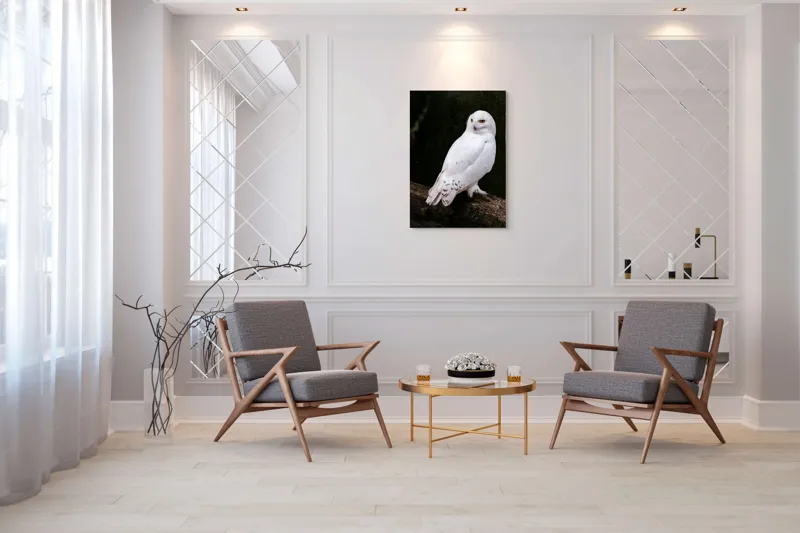 Tablou Canvas, "Bufnița albă în pădurea tăcută", Bufniță, Albă, Majestuoasă, Privire, Intesă, Rămurii, Detalii, Fascinantă, 70 x 100 cm – poza 8