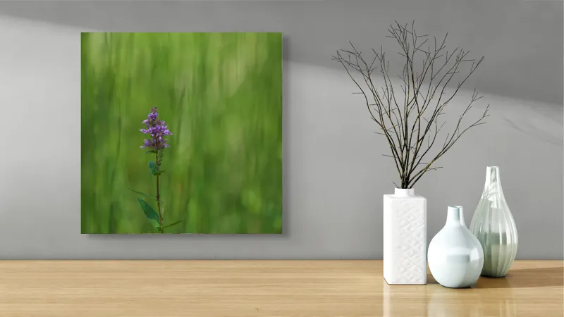 Tablou Canvas, "Floare solitară în pădurea deasă", Floare, Verde, Natură, Solitar, Blândețe, Calm, Sfumare, Delicatețe, Liniște, 50 x 50 cm – poza 3