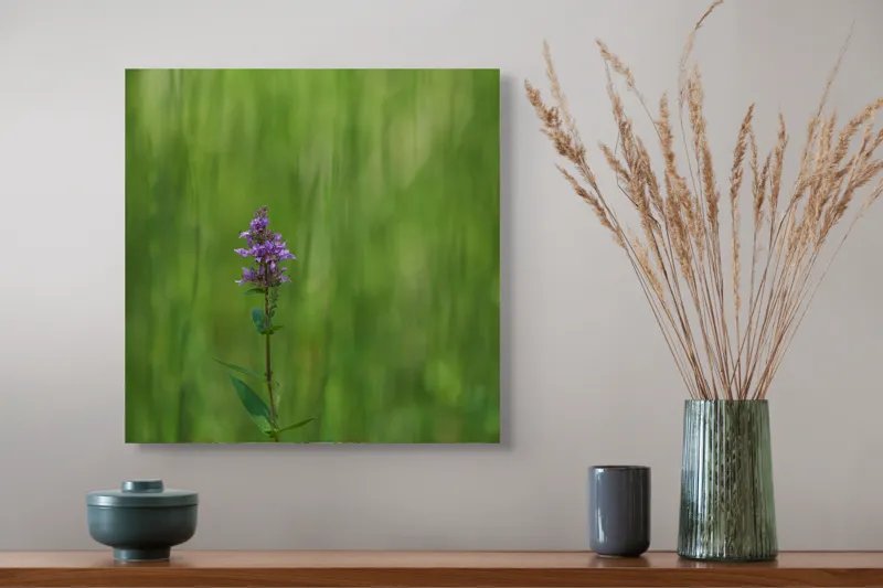 Tablou Canvas, "Floare solitară în pădurea deasă", Floare, Verde, Natură, Solitar, Blândețe, Calm, Sfumare, Delicatețe, Liniște, 50 x 50 cm – poza 4