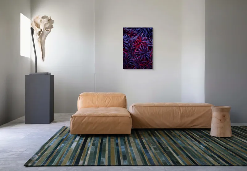 Tablou Canvas, "Frumusețea plină de culoare a naturii", Picături, Frunze, Roșu, Mov, Textură, Contrast, Natură, Apă, Vegetație, Umbre, 50 x 70 cm – poza 7