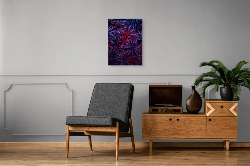Tablou Canvas, "Frumusețea plină de culoare a naturii", Picături, Frunze, Roșu, Mov, Textură, Contrast, Natură, Apă, Vegetație, Umbre, 50 x 70 cm – poza 8