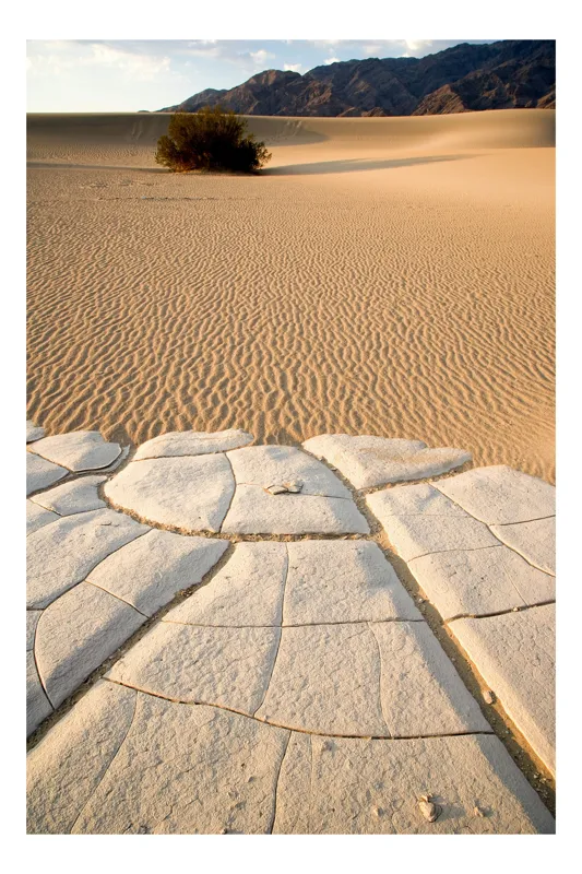 Tablou Canvas, "Căldură arzătoare în deșertul vast", Deșert, Dune, Singurătate, Arbuști, Crăpături, Textură, Liniște, Ariditate, 50 x 70 cm