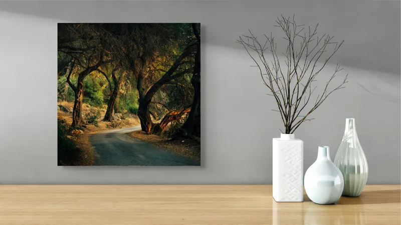 Tablou Canvas, "Cărare misterioasă prin pădure întunecată", Pădure, Cale, Copaci, Umbră, Lumină, Mister, Natură, Sinuozitate, 50 x 50 cm – poza 3