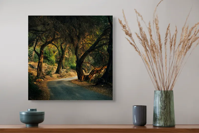 Tablou Canvas, "Cărare misterioasă prin pădure întunecată", Pădure, Cale, Copaci, Umbră, Lumină, Mister, Natură, Sinuozitate, 50 x 50 cm – poza 4