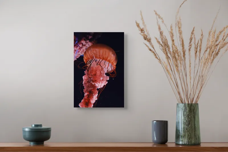 Tablou Canvas, "Dansul grațios al meduzelor roz", Meduză, Ocean, Mister, Grație, Curiozitate, Coloare, Frumusețe, Apă, Plutire, Fascinație, 26 x 39 cm – poza 5