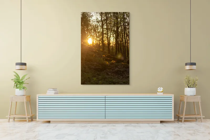Tablou Canvas, "Apus luminând pădurea de primăvară", Apus, Copaci, Lumina, Pădure, Seară, Natură, Raze, Verdeață, 100 x 150 cm – poza 4