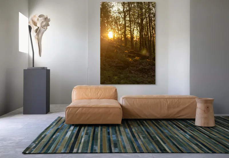 Tablou Canvas, "Apus luminând pădurea de primăvară", Apus, Copaci, Lumina, Pădure, Seară, Natură, Raze, Verdeață, 100 x 150 cm – poza 7