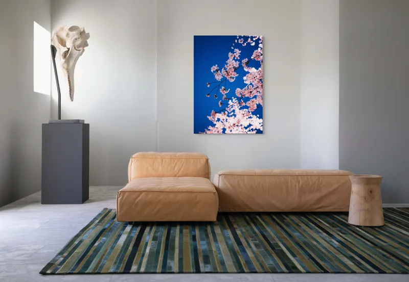 Tablou Canvas, "Flori de cireș sub cer senin", Flori, Roz, Cer, Albastru, Primăvară, Ramuri, Delicatețe, Natură, Frumusețe, Lumină, 70 x 100 cm – poza 7
