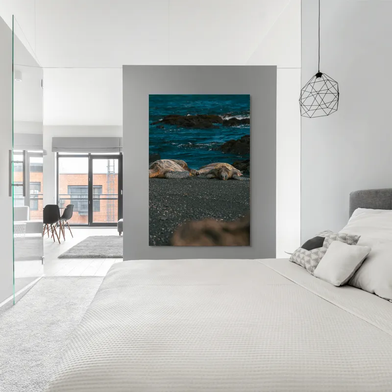 Tablou Canvas, "Țestoase odihnindu-se pe plajă neagră", Broască-Țestoasă, Plajă, Ocean, Stânci, Nisip, Apus, Relaxare, Natură, 100 x 150 cm – poza 5