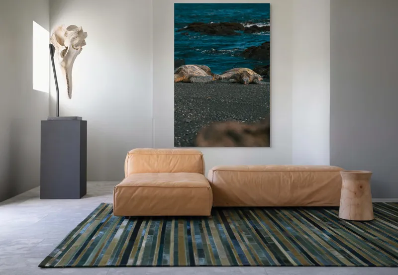 Tablou Canvas, "Țestoase odihnindu-se pe plajă neagră", Broască-Țestoasă, Plajă, Ocean, Stânci, Nisip, Apus, Relaxare, Natură, 100 x 150 cm – poza 7