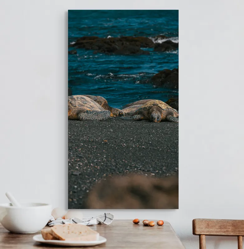 Tablou Canvas, "Țestoase odihnindu-se pe plajă neagră", Broască-Țestoasă, Plajă, Ocean, Stânci, Nisip, Apus, Relaxare, Natură, 50 x 90 cm – poza 3