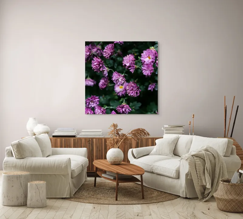 Tablou Canvas, "Flori de toamnă în grădinăraie.", Flori, Mov, Delicate, Frunziș, Abundență, Natură, Prospețime, Grădină, Petale, Verde., 100 x 100 cm – poza 3