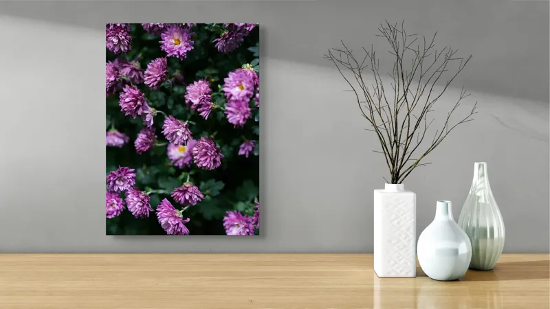 Tablou Canvas, "Flori de toamnă în grădinăraie.", Flori, Mov, Delicate, Frunziș, Abundență, Natură, Prospețime, Grădină, Petale, Verde., 39 x 54 cm – poza 4