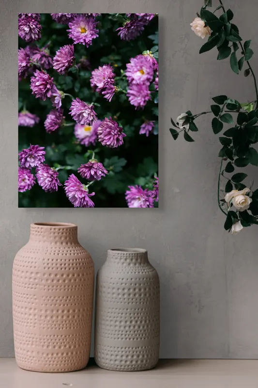 Tablou Canvas, "Flori de toamnă în grădinăraie.", Flori, Mov, Delicate, Frunziș, Abundență, Natură, Prospețime, Grădină, Petale, Verde., 39 x 54 cm – poza 6