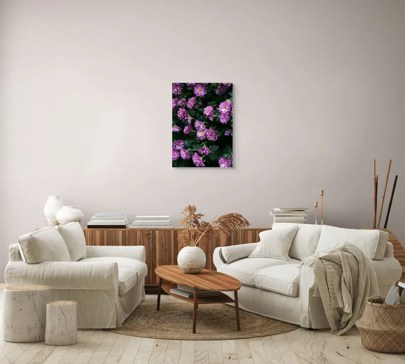 Tablou Canvas, "Flori de toamnă în grădinăraie.", Flori, Mov, Delicate, Frunziș, Abundență, Natură, Prospețime, Grădină, Petale, Verde., 50 x 70 cm – poza 4