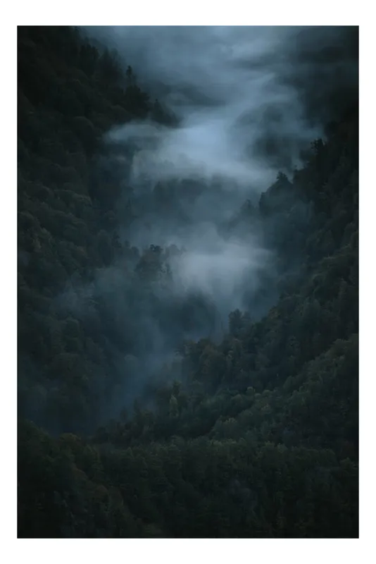 Tablou Canvas, "Misterul pădurii învăluite în ceață", Mister, Melancolie, Pădure, Negură, Liniște, Adâncime, Umbre, Frunziș, Tainic, Rece, 50 x 50 cm