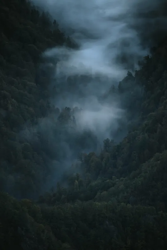 Tablou Canvas, "Misterul pădurii învăluite în ceață", Mister, Melancolie, Pădure, Negură, Liniște, Adâncime, Umbre, Frunziș, Tainic, Rece, 100 x 150 cm – poza 2