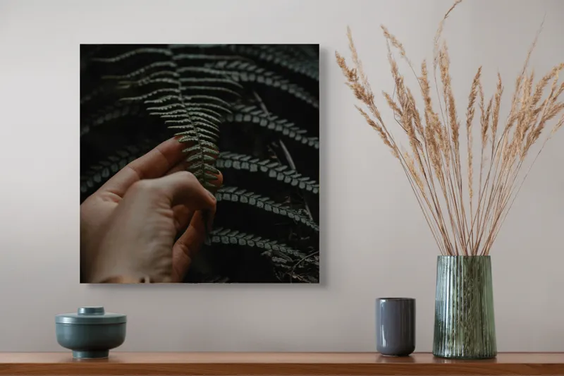 Tablou Canvas, "Mângâierea frunzei de ferigă verde", Frunză, Mână, Delicatețe, Natură, Verde, Lumină, Textură, Detaliu, 50 x 50 cm – poza 4