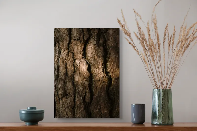 Tablou Canvas, "Umbrele drumului pe scoarța copacului", Textură, Scoarță, Arbori, Rugozitate, Lumină, Umbre, Natură, Rustic, Detaliu, Organic., 39 x 54 cm – poza 3