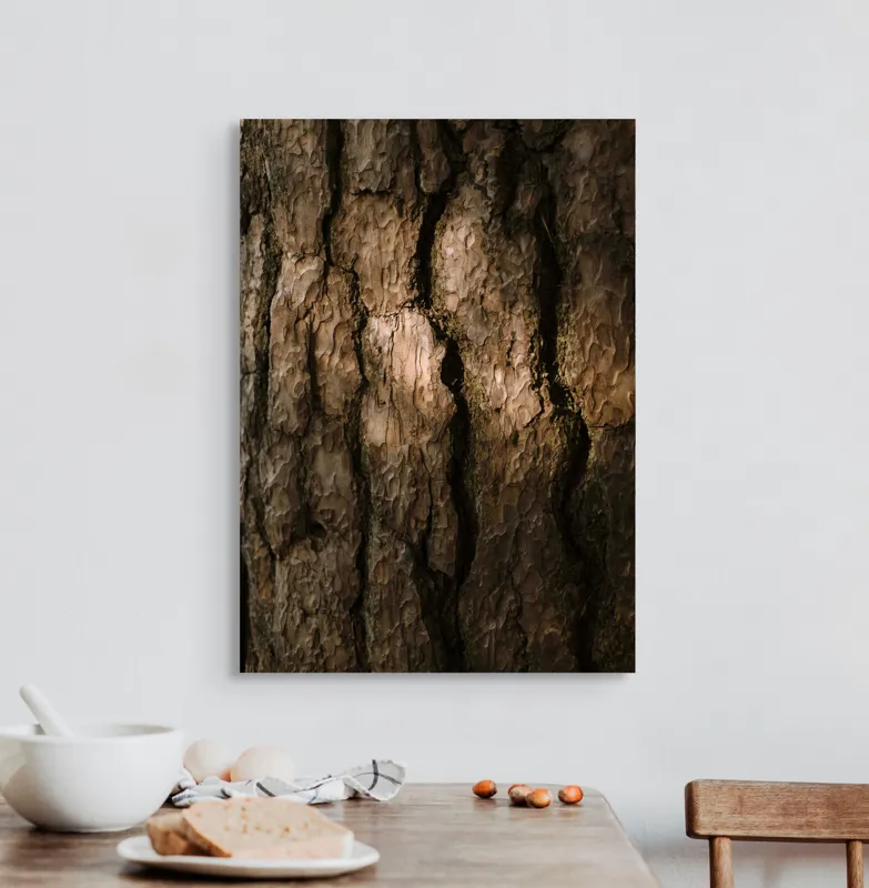 Tablou Canvas, "Umbrele drumului pe scoarța copacului", Textură, Scoarță, Arbori, Rugozitate, Lumină, Umbre, Natură, Rustic, Detaliu, Organic., 50 x 70 cm – poza 3
