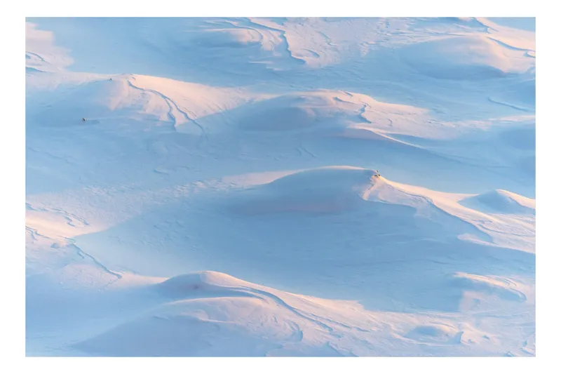 Tablou Canvas, "Dune înghețate sub lumina dimineții", Alb, Serpentine, Umbre, Liniște, Rece, Texturi, Valuri, Întindere, 54 x 39 cm