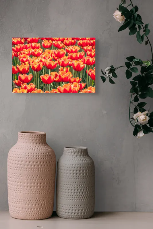 Tablou Canvas, "Simfonia culorilor în grădină tulipană", Lalele, Roșii, Grădină, Primăvară, Flori, Strălucitoare, Natură, Peisaj, Vesele, Colorate, 39 x 26 cm – poza 4