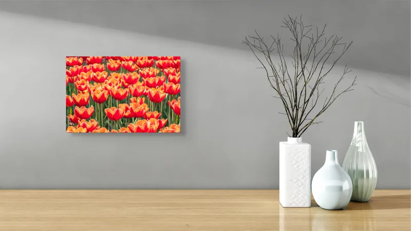 Tablou Canvas, "Simfonia culorilor în grădină tulipană", Lalele, Roșii, Grădină, Primăvară, Flori, Strălucitoare, Natură, Peisaj, Vesele, Colorate, 39 x 26 cm – poza 8