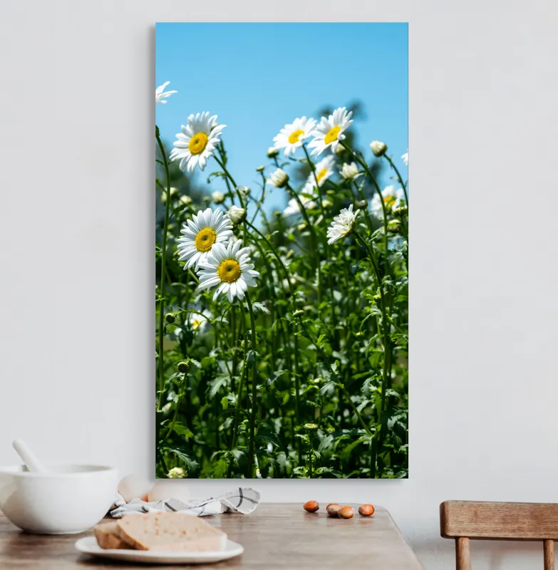 Tablou Canvas, "Margarete în bătaia vântului blând", Margarete, Cer, Verdeață, Lumină, Natură, Seninătate, Vitalitate, Prospețime, Veselie, Libertate, 50 x 90 cm – poza 3