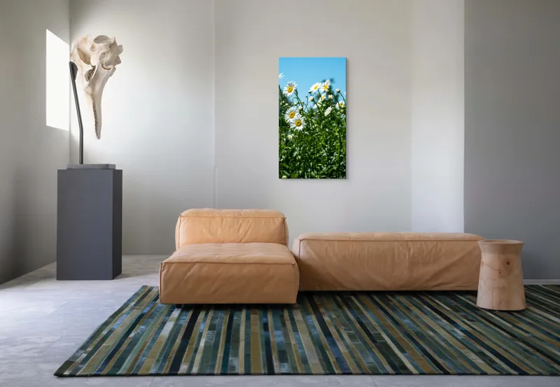 Tablou Canvas, "Margarete în bătaia vântului blând", Margarete, Cer, Verdeață, Lumină, Natură, Seninătate, Vitalitate, Prospețime, Veselie, Libertate, 50 x 90 cm – poza 5