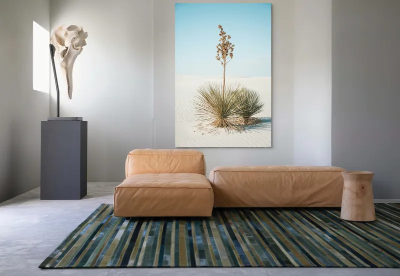 Tablou Canvas, "Solitar în deșertul alb nesfârșit", Deșert, Yucca, Cer, Nisip, Singurătate, Natură, Linie, Verde, Uscat, Solitar, Liniște, 100 x 150 cm – poza 7
