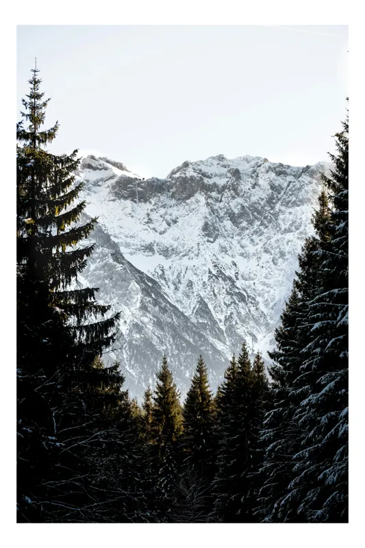 Tablou Canvas, "Muntele alb și pădurile întunecate", Ascuțit, Rece, Măreț, Pădure, Zăpadă, Stânci, Liniște, Contrast, Înălțime, Natură, 26 x 39 cm