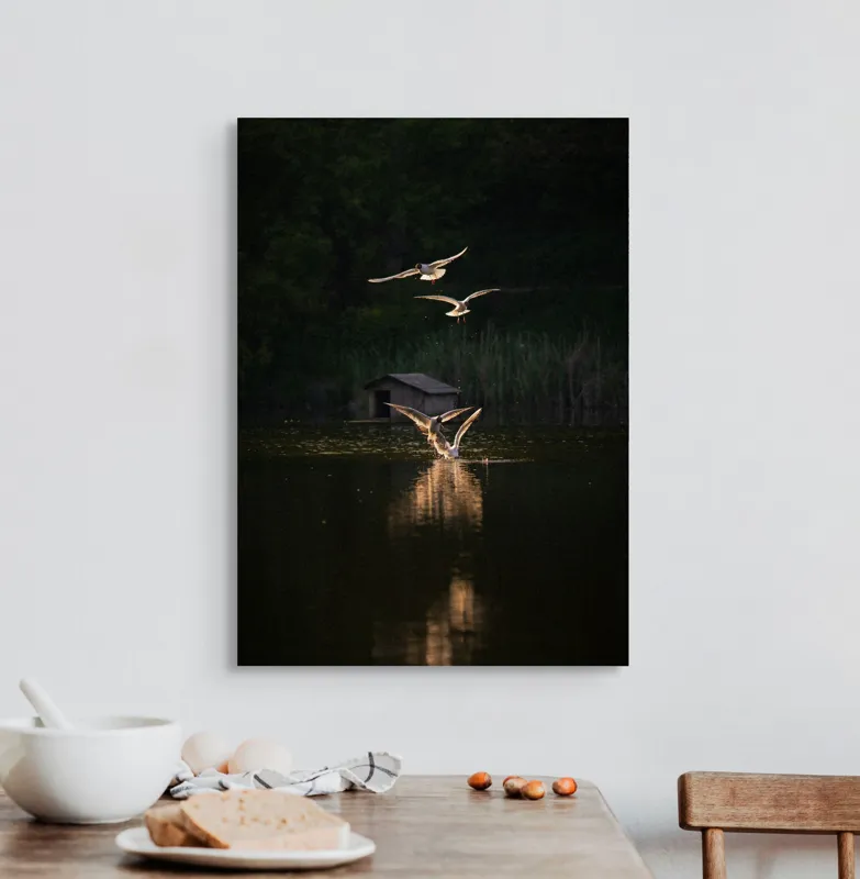 Tablou Canvas, "Pescăruși survolând oglinda apei", Zbor, Apus, Lac, Păsări, Natură, Reflecție, Lumină, 50 x 70 cm – poza 3