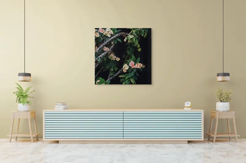 Tablou Canvas, "Tufă de flori cu spini verzi", Flori, Verdeață, Spini, Natură, Contrast, Vitalitate, Frumusețe, Delicatețe, 100 x 100 cm – poza 5