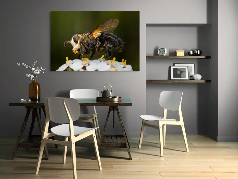 Tablou Canvas, "Musca pe floare albă parfumată", Musca, Aripi, Polen, Flori, Focos, Natura, Macro, Insecta, 150 x 100 cm – poza 5