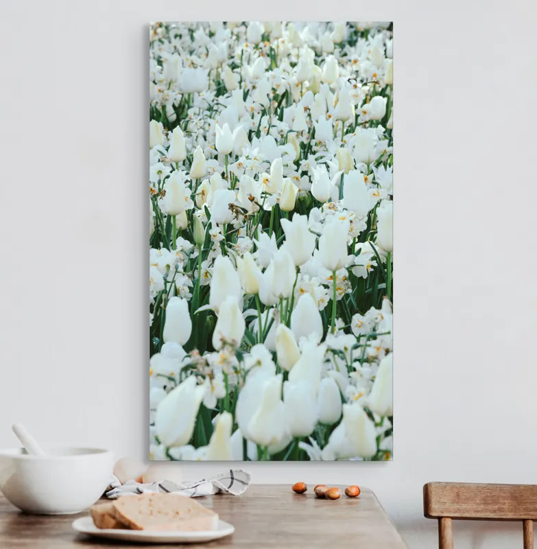 Tablou Canvas, "Dansul lalelelor albe primăvara", Flori, Alb, Lalele, Delicate, Natură, Primăvară, Petale, Frumusețe, Verde, Frunziș, Luminozitate, Armonie, Grădină, Prospețime, Serenitate, 50 x 90 cm – poza 3