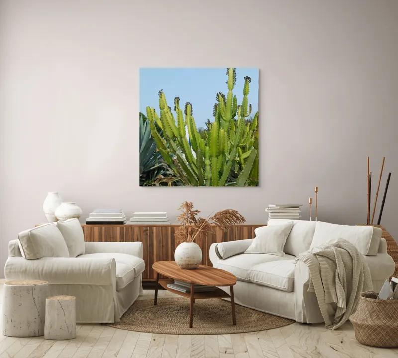 Tablou Canvas, "Cactuși în bătaia soarelui de vară", 100 x 100 cm – poza 3